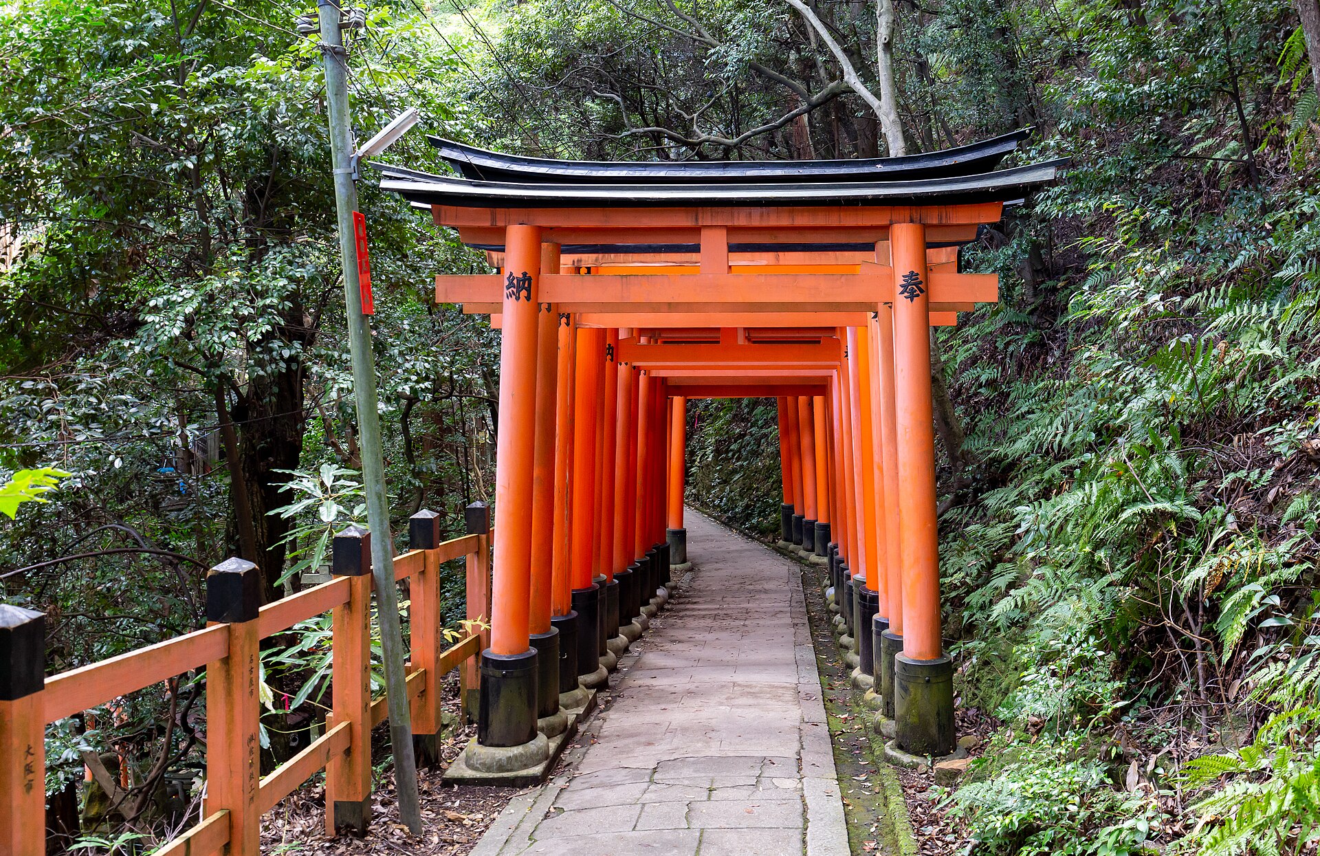 The five most crowded places in Japan, and what to do instead