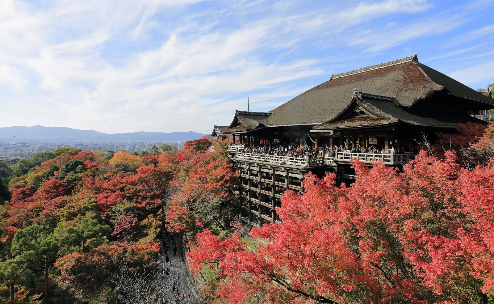 Japan in shoulder season: why late September changes everything