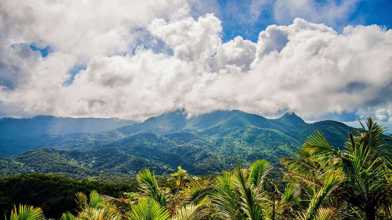 25 Ways to Fall for Puerto Rico