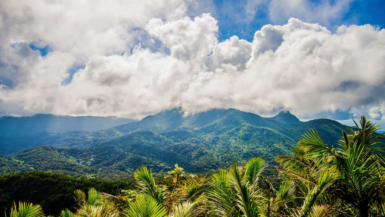25 Ways to Fall for Puerto Rico