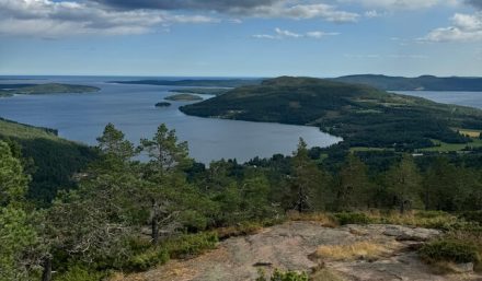 A 10 Day Itinerary Down Sweden’s Coast